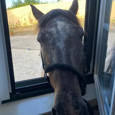 Terra Luso 3* Cadaval