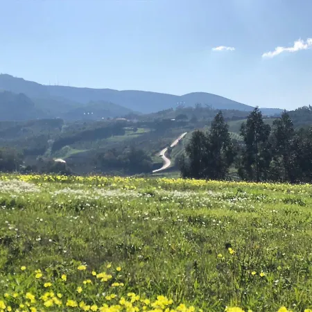 Bed & Breakfast Terra Luso 3*