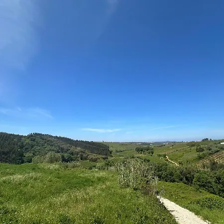 Terra Luso Proche De Montejunto Bed and breakfast 3*