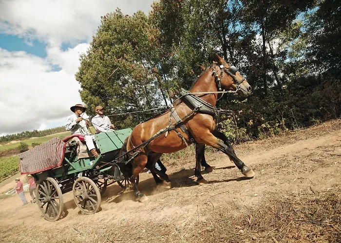 Terra Luso 住宿加早餐酒店 Cadaval