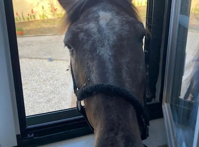 Terra Luso 3* Cadaval