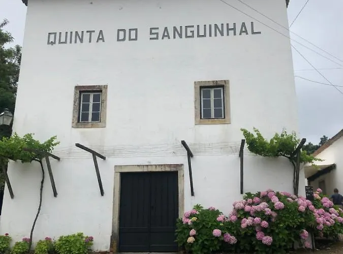 Terra Luso Nocleg ze śniadaniem 3*