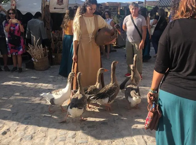 Nocleg ze śniadaniem Terra Luso 3*