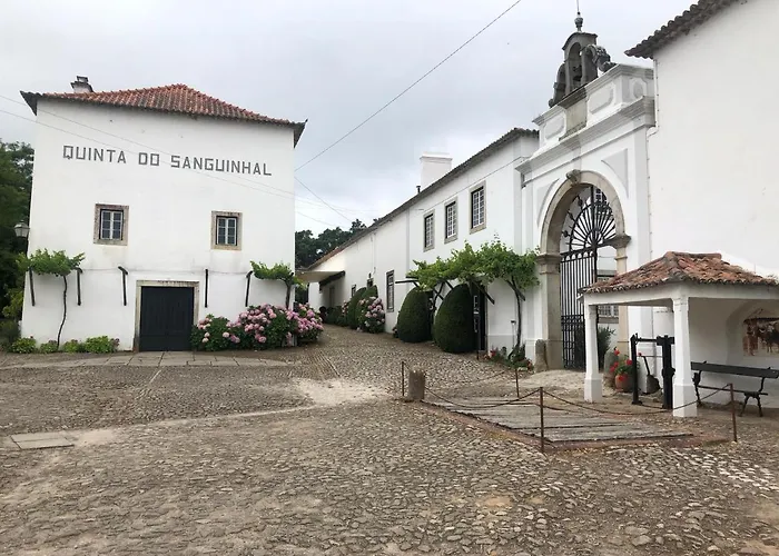 Terra Luso Nocleg ze śniadaniem Cadaval