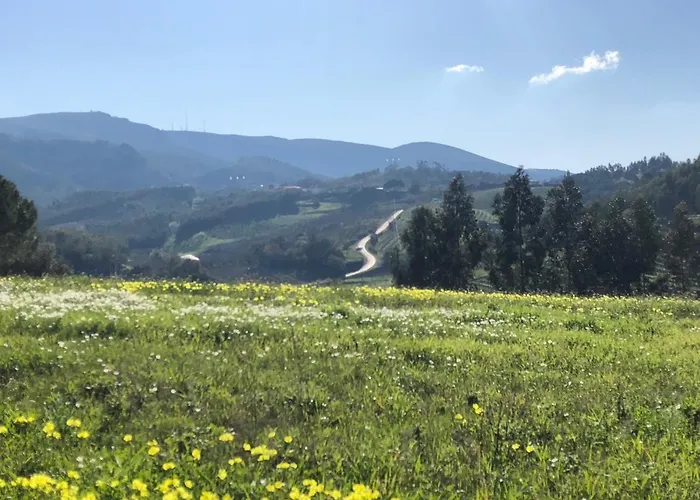 Nocleg ze śniadaniem Terra Luso 3*